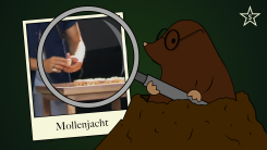 Mollenjacht: Waarom moeten alle dobbelstenen op 1?