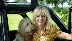 Vanavond op tv: Yvon Jaspers trekt het land door met 900 liefdesbrieven