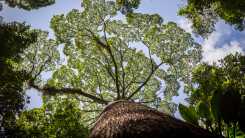 EO met nieuwe natuurserie The Green Planet