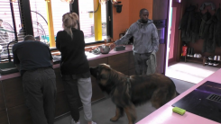 Kijkers woedend over dierenmishandeling in Big Brother