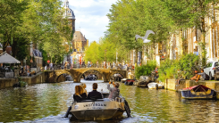 Amsterdam bij nacht: de ultieme gids voor nachtvlinders