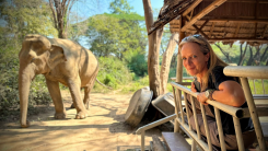 Floortje Dessing vraagt aandacht voor dierenleed in Tijd voor MAX