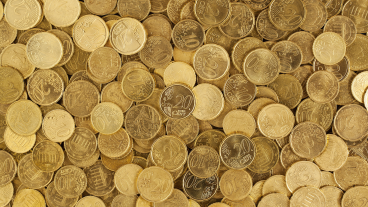 Inzamelingsactie NPO Zapp voor koala’s haalt 246.351 euro op