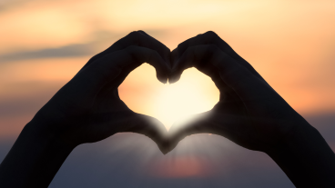 SBS6 deze zomer met langere afleveringen Lang Leve de Liefde