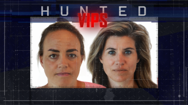 Hunted VIPS: Van Bob Dylan naar Brokeback Mountain