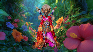 Deze BN’er is de Okapi in The Masked Singer