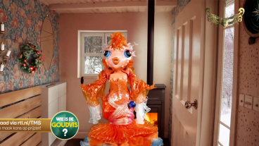 Déze BN'er is de Goudvis in The Masked Singer