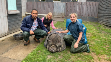 Nieuwe MAX-serie volgt dierenartsen in het Engelse Yorkshire
