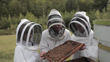 Nieuwe serie National Geographic duikt in de wereld van Bijen