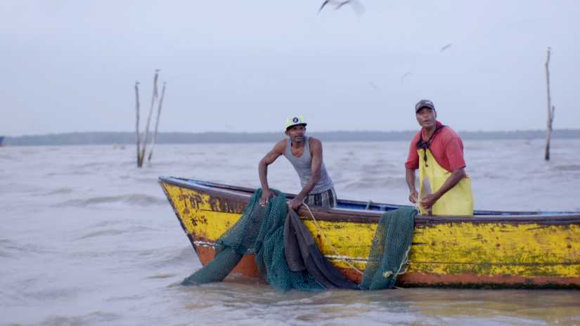 Synaps onderzoekt wurgcontract van oliegigant