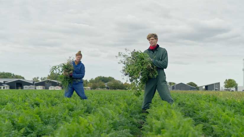 Vrijwilligerswerk centraal in nieuwe serie Buddybuddy