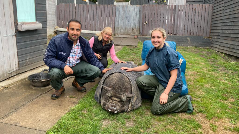 Nieuwe MAX-serie volgt dierenartsen in het Engelse Yorkshire