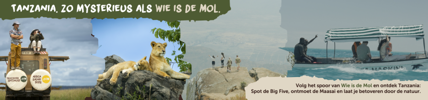 Wie is de Mol?